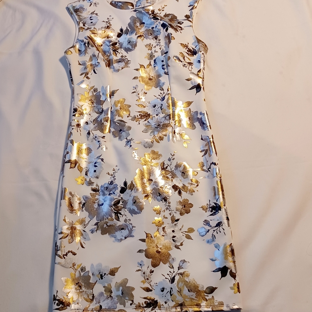 Beautiful Dress